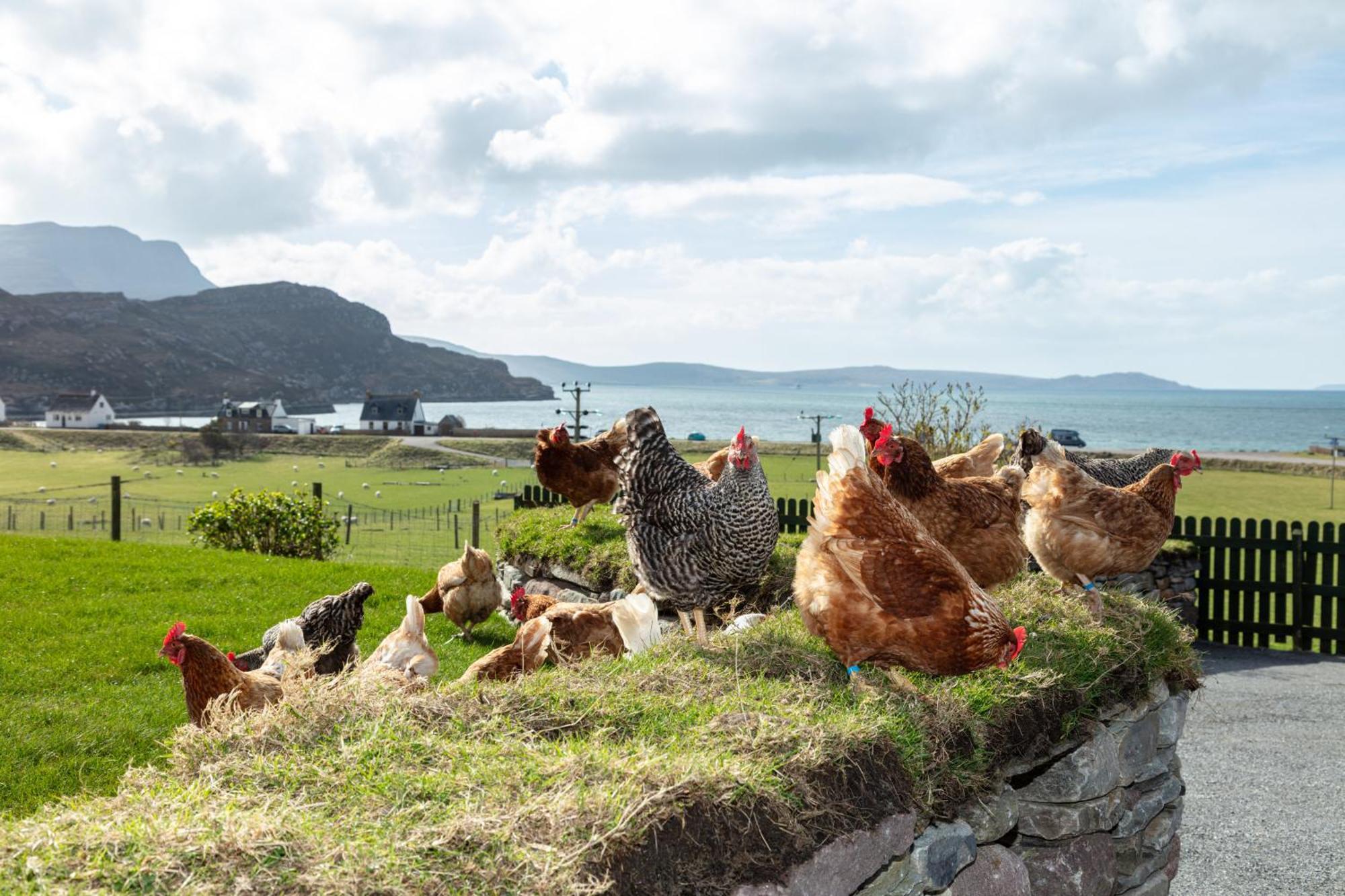Croft Cottage Ullapool Kültér fotó